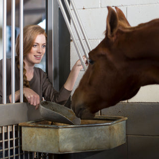 Horse Feed & Treats