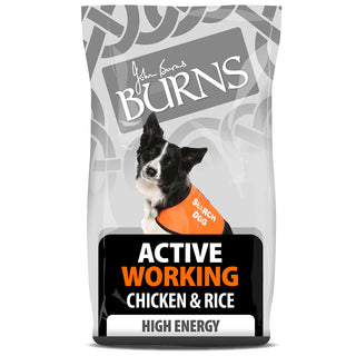 Burns Active Chicken & Rice