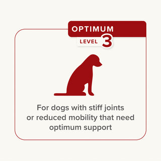 Beaphar Flexifit Dog Chew - Optimum Level 3