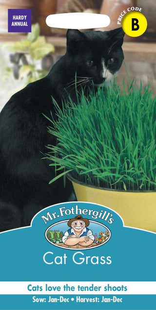 Mr Fothergills Cat Grass Avena Sativa