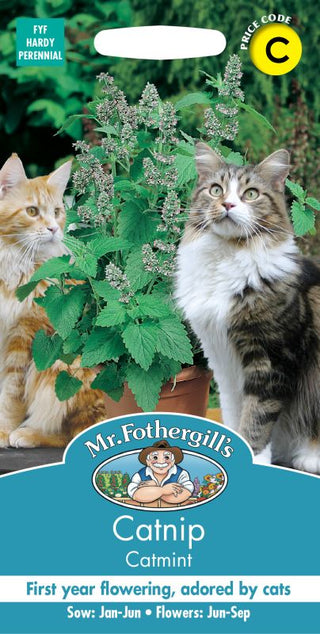 Mr Fothergills Catmint Catnip