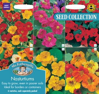 Mr Fothergills Col Nasturtium Collection