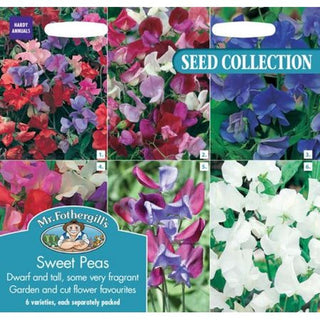 Mr Fothergills Col Sweet Peas Collection