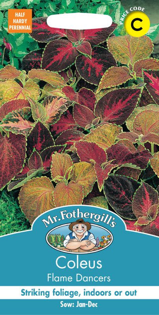 Mr Fothergills Coleus Flame Dancers