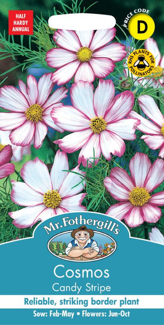 Mr Fothergills Cosmos Candy Stripe