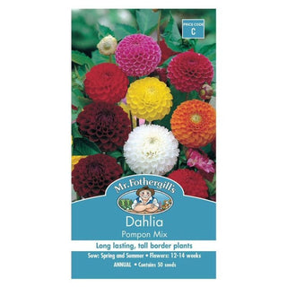 Mr Fothergills Dahlia Pompon Mixed