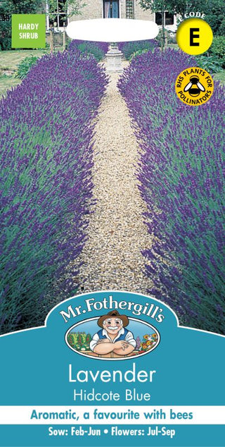 Mr Fothergills Lavender Hidcote Blue