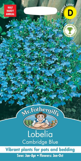 Mr Fothergills Lobelia Cambridge Blue