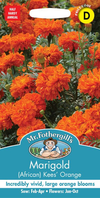 Mr Fothergills Marigold (african) Kees' Orange