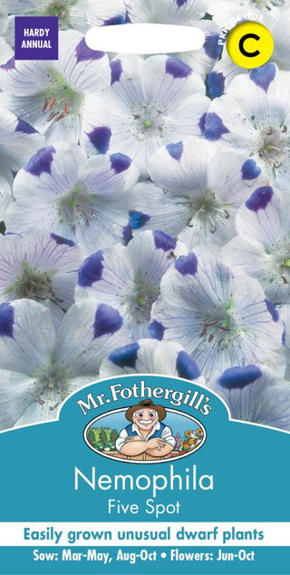 Mr Fothergills Nemophila Five Spot