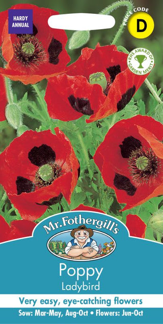 Mr Fothergills Poppy Ladybird