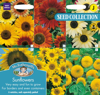 Mr Fothergills Sunflower Collection