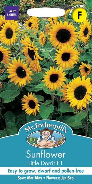 Mr Fothergills Sunflower Little Dorrit F1