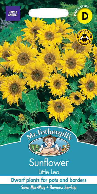 Mr Fothergills Sunflower Little Leo