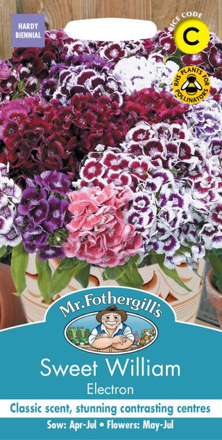 Mr Fothergills Sweet William Electron