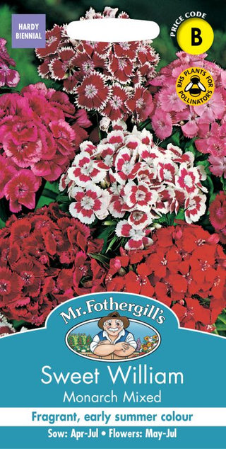 Mr Fothergills Sweet William Monarch Mixed