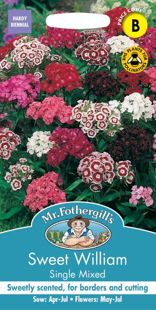 Mr Fothergills Sweet William Single Mixed