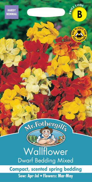 Mr Fothergills Wallflower Dwarf Bedding Mixed