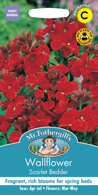 Mr Fothergills Wallflower Scarlet Bedder