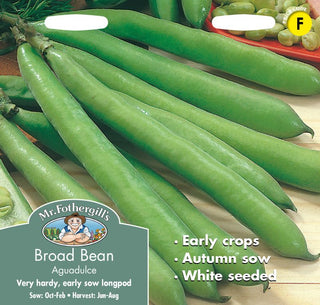 Mr Fothergills Broad Bean Aguadulce