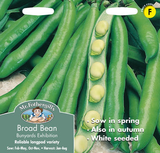 Mr Fothergills Broad Bean Bunyards Exhibition