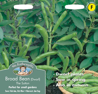 Mr Fothergills Broad Bean The Sutton (dwarf)