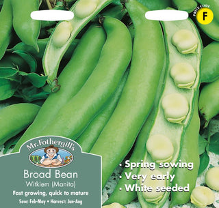 Mr Fothergills Broad Bean Witkiem (manita)