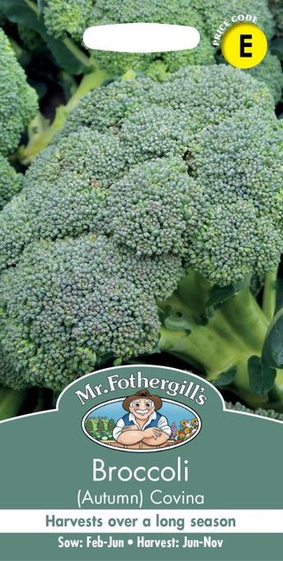 Mr Fothergills Broccoli (autumn)  Covina