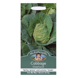 Mr Fothergills Cabbage Greyhound