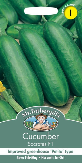 Mr Fothergills Cucumber Socrates F1