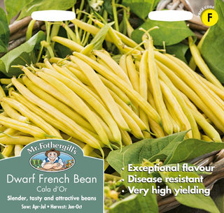 Mr Fothergills Dwarf French Bean Cala D'or