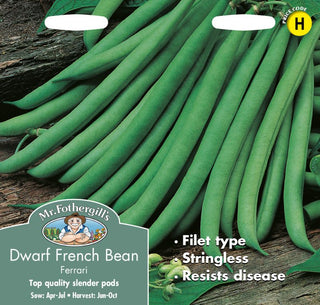 Mr Fothergills Dwarf French Bean Ferrari