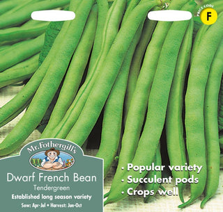 Mr Fothergills Dwarf French Bean Tendergreen