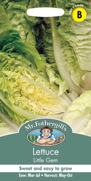 Mr Fothergills Lettuce Little Gem