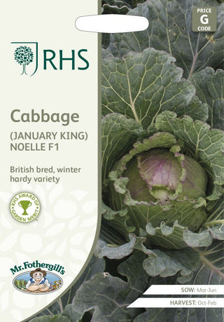 Mr Fothergills Rhs Cabbage (january King) Noelle F1