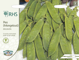 Mr Fothergills Rhs Pea (mangetout) Delikata