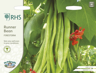 Mr Fothergills Rhs Runner Bean Firestorm