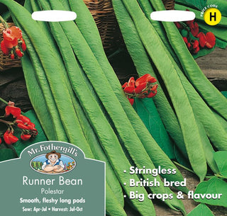 Mr Fothergills Runner Bean Polestar