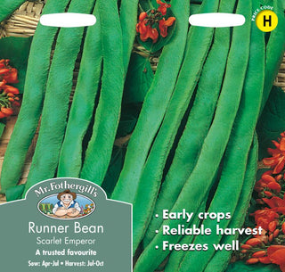 Mr Fothergills Runner Bean Scarlet Empire (stringless)