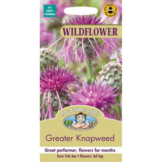 Mr Fothergills Wildflower Garden Wf Greater Knapweed