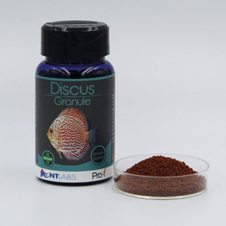 Nt Labs Pro-F Discus Granules