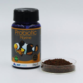 Nt Labs Pro-F Probiotic Marine