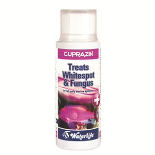 Waterlife Cuprazin Treats Whitespot  Oodinium & Fungus