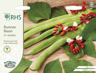 Mr Fothergills - RHS - RUNNER BEAN St George