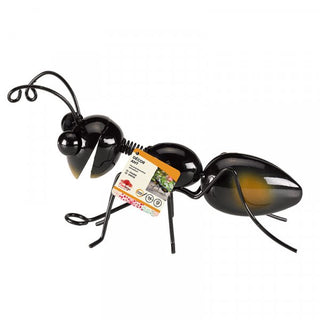 Smart Hangers On Decor Ant