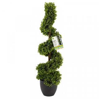 Smart Topiary Twirl