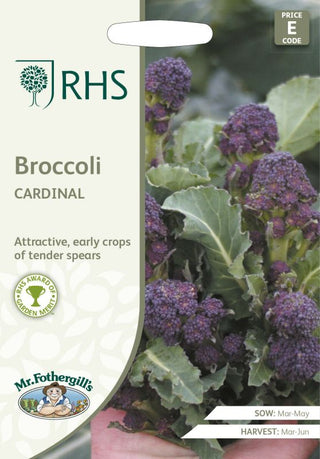 UK/FO/VE-RHS-BROCCOLI Sprouting