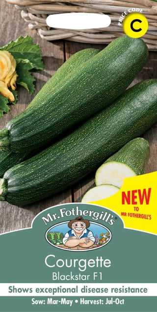 UK/FO-COURGETTE Blackstar F1