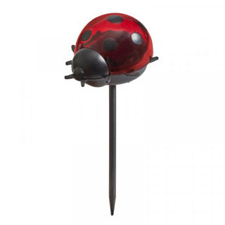 Smart Ladybird Stake