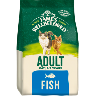 James Wellbeloved Adult Cat Fish